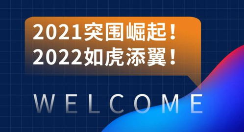 专业时代下的营销崛起生态 2021洛阳青峰网络互联网创新营销