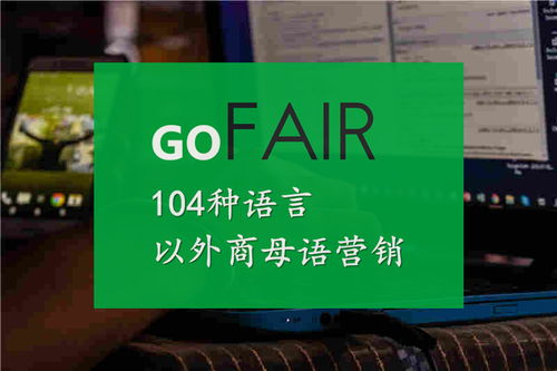 gofair小语种字幕,外贸企业做外贸营销之前,必须先搞清楚各大互联网公司