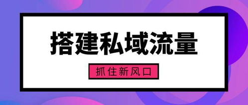 宝多多社区数智零售 如何构建媒体矩阵,抓住私域流量的风