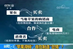 苹果滞销4000万斤果农无奈砍树 果农 我是被安排的